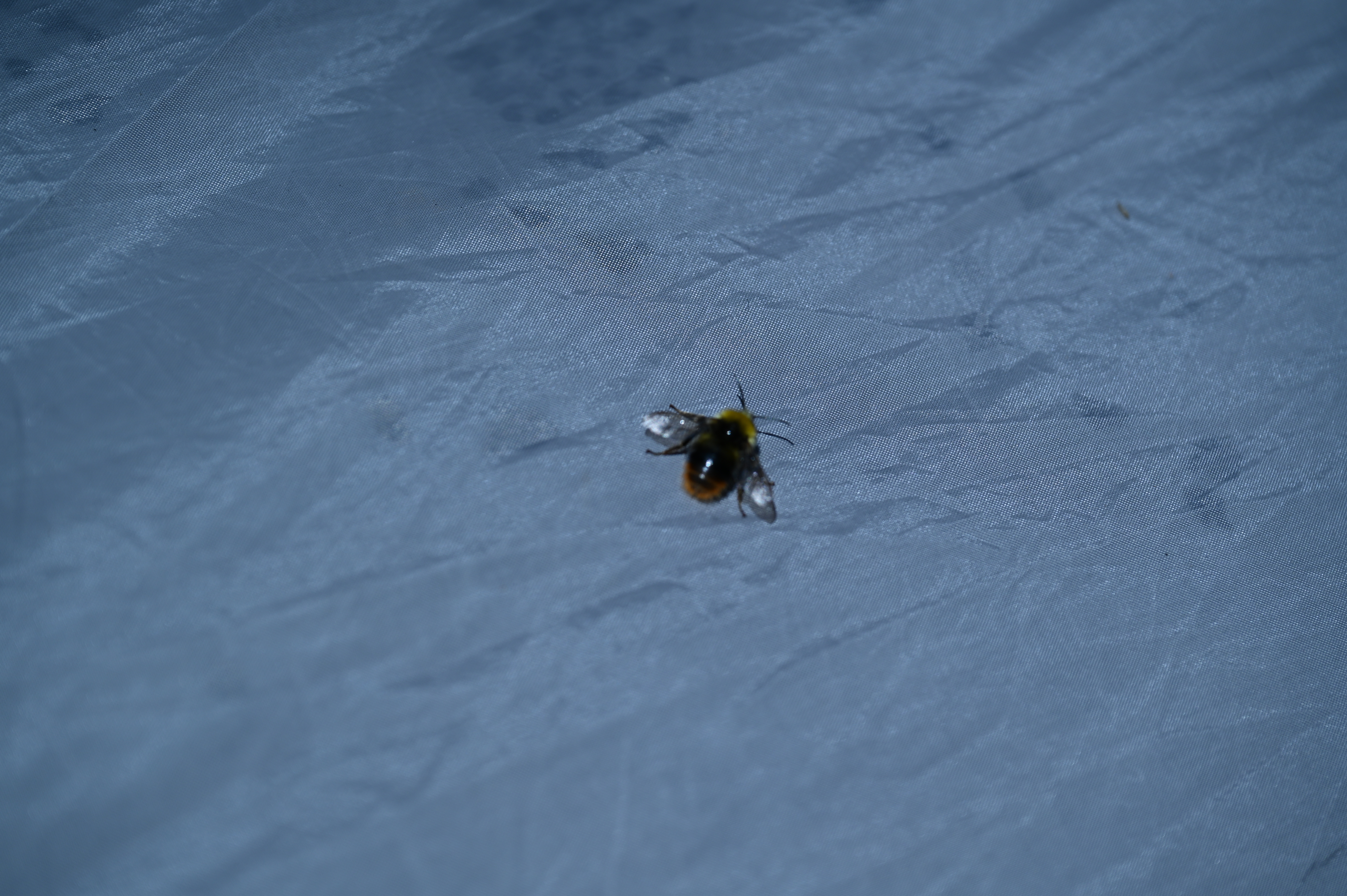 2025/07/09-14 - trip/DSC_0508.JPG